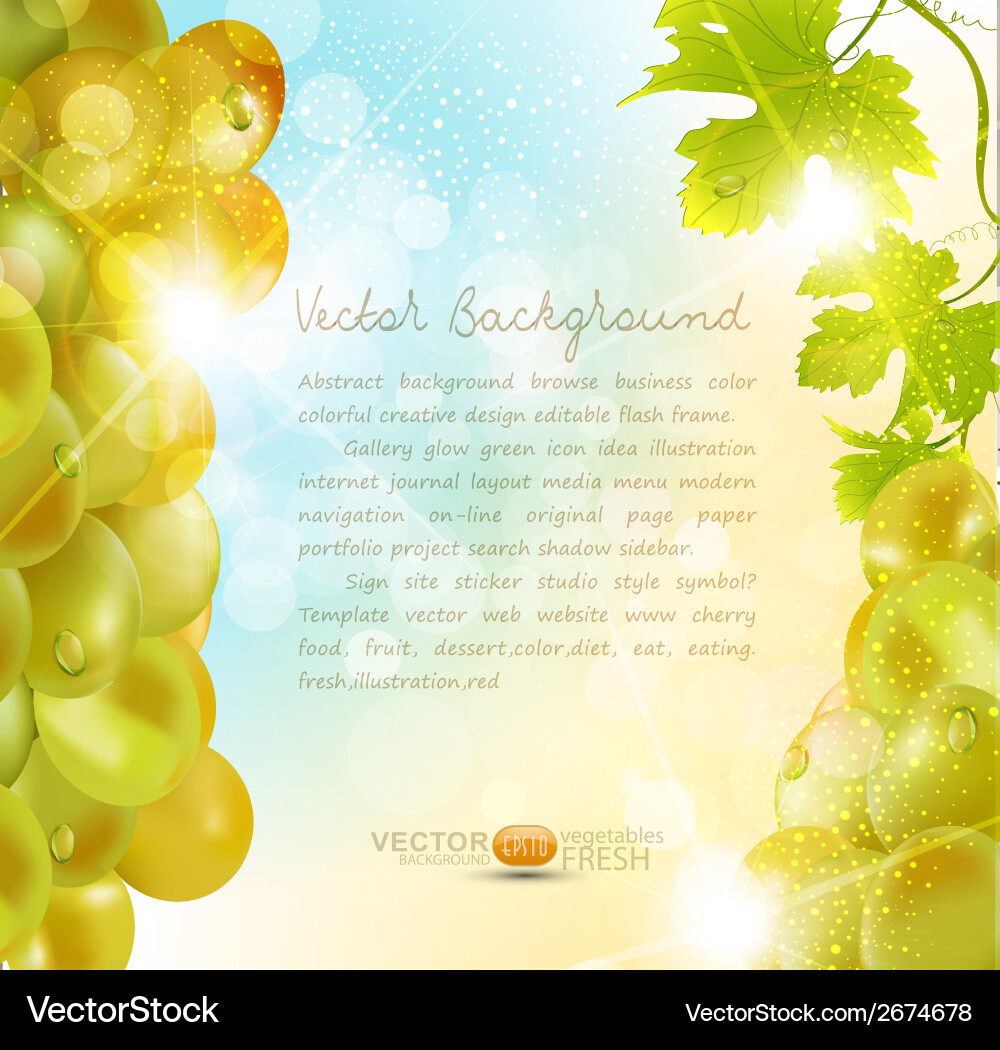 Fresh Grapes Background Vector Image
