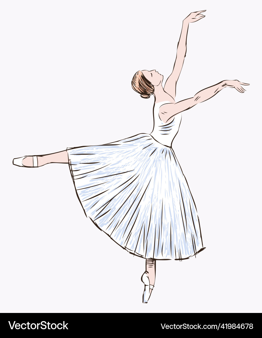 Sketch of graceful ballerina dancing classical Sketch of graceful ballerina dancing classical vector image