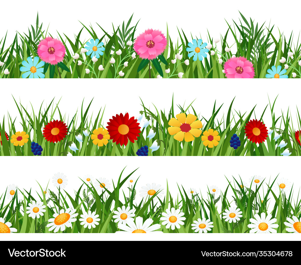 Spring Flowers Lawn Patterns Vector Image