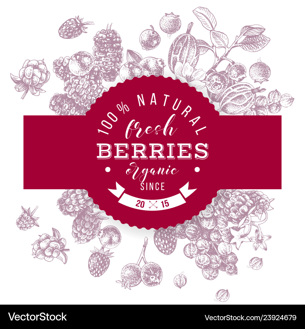 Berry Round Emblem Background vector image