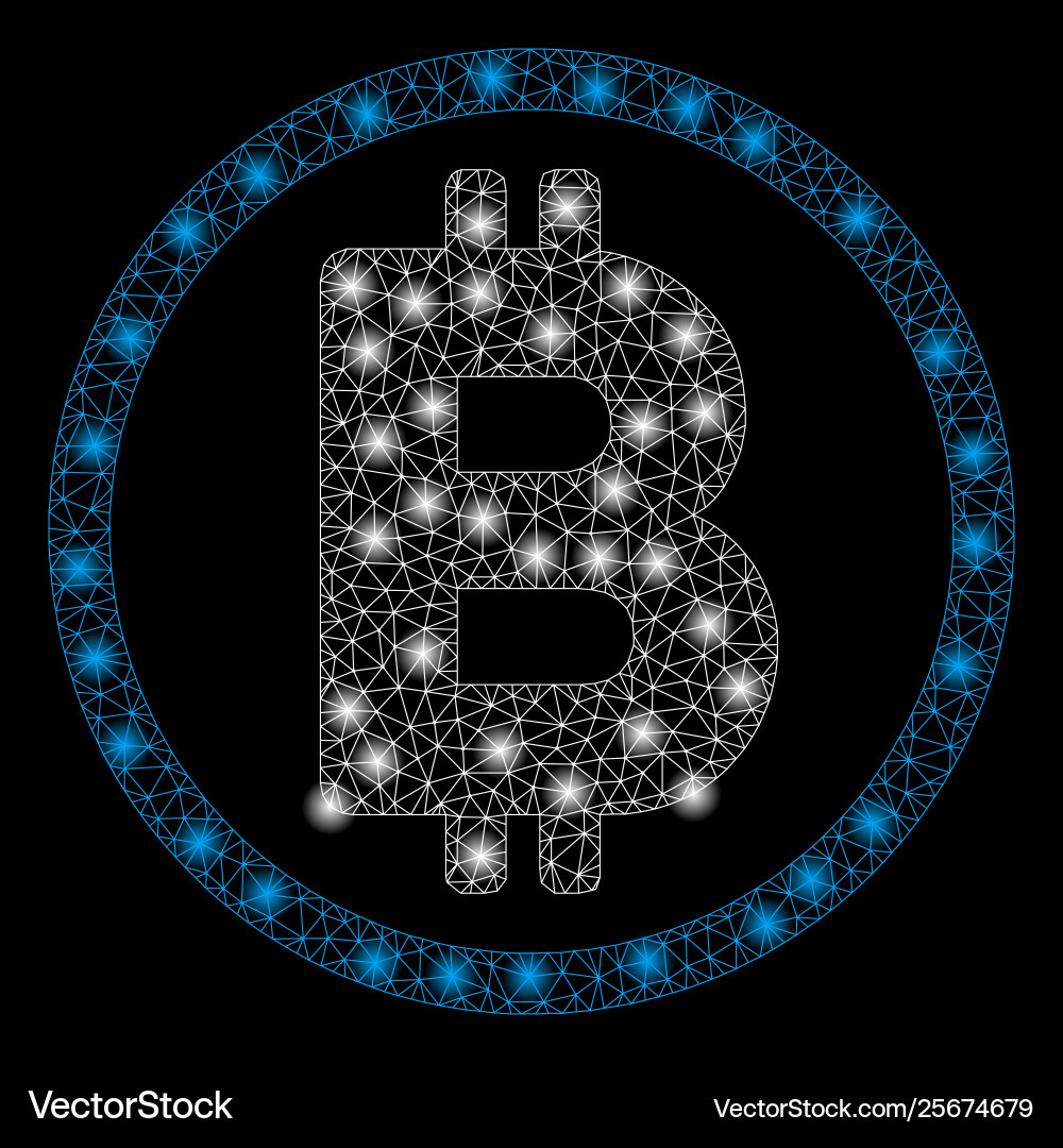 Bright mesh carcass bitcoin rounded with flare Bright mesh carcass bitcoin rounded with flare vector image