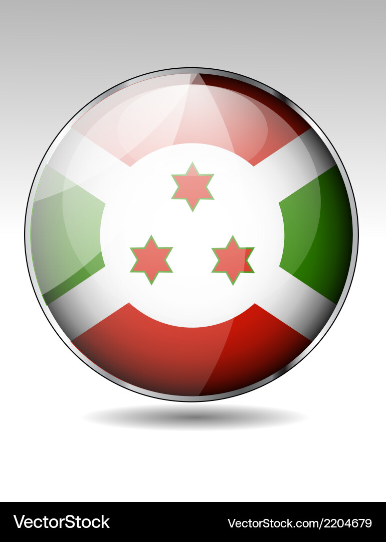 Flag button design elements vector image