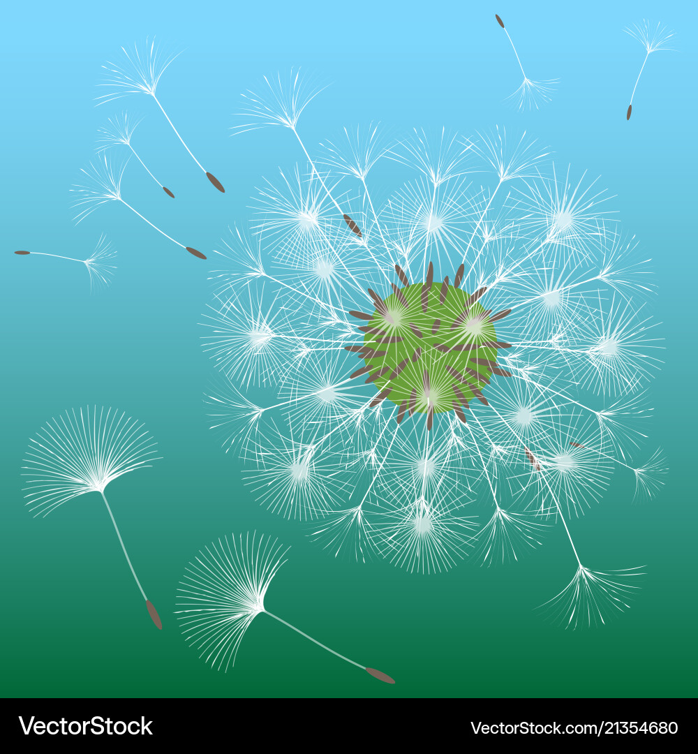 Abstract background of a dandelion for design Abstract background of a dandelion for design vector image
