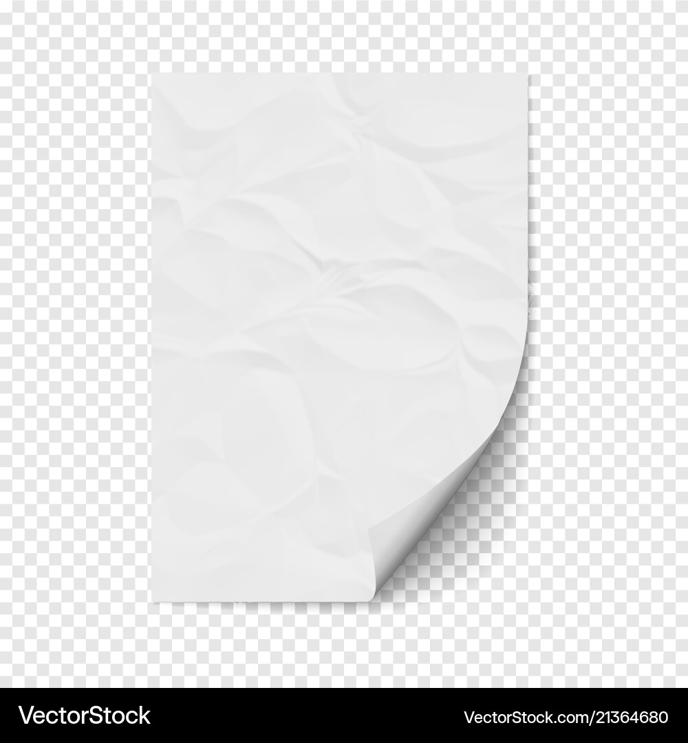 White page curl on empty sheet crumpled paper Vector Image