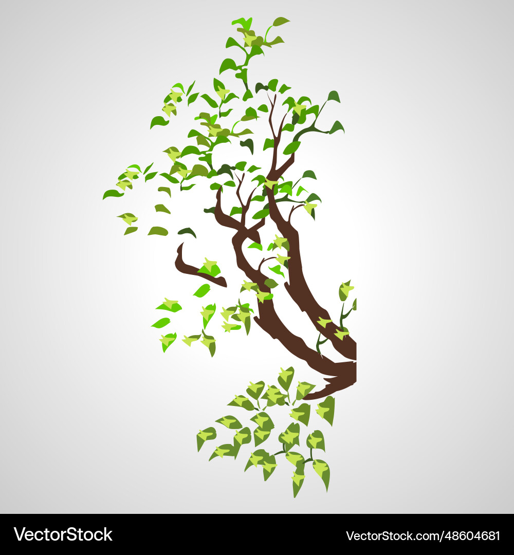 Tree branch isolated on white background Tree branch isolated on white background Vector Image