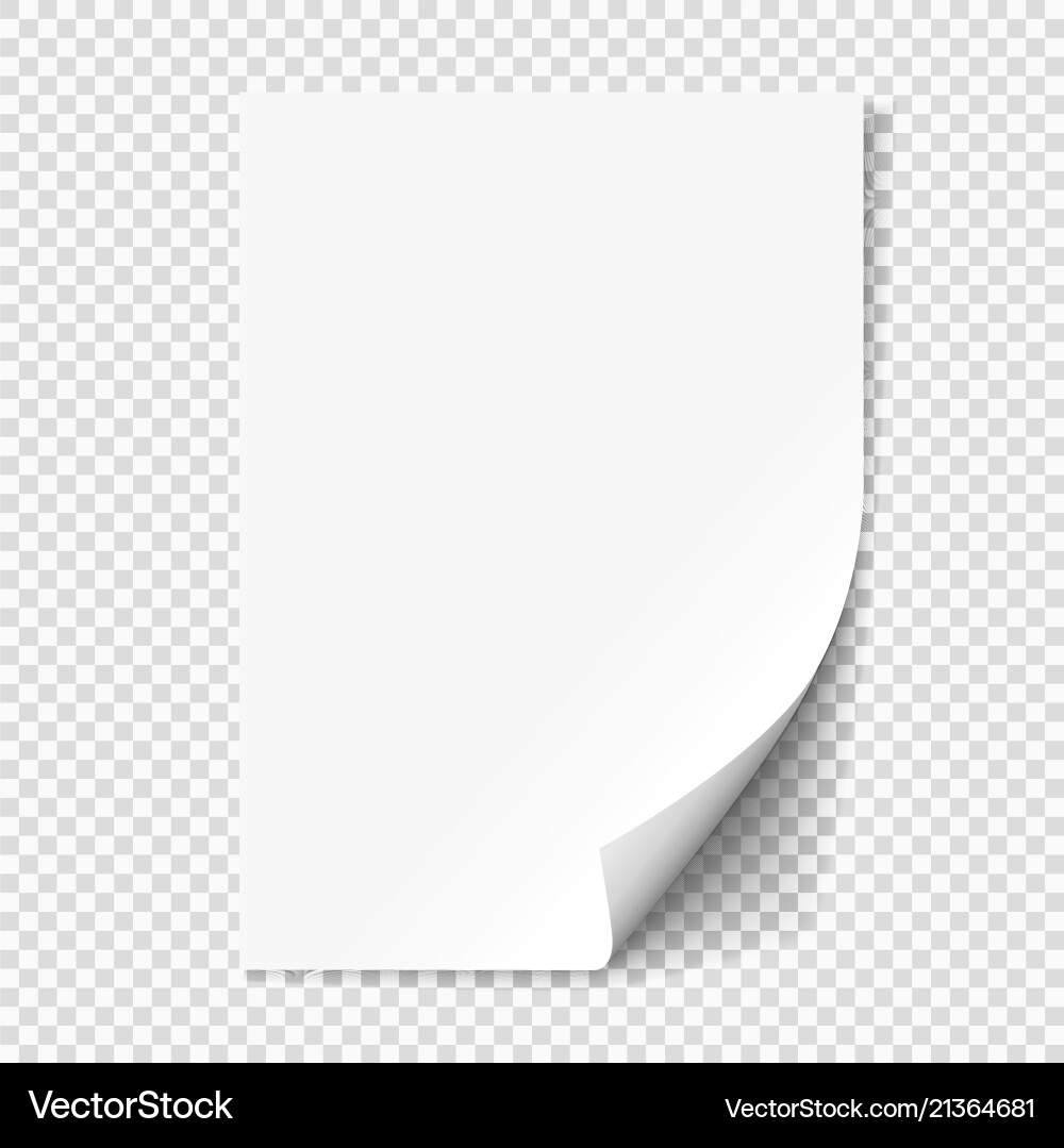 White Paper Curl with Shadow vector image