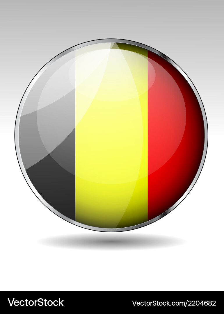 Flag button design elements vector image