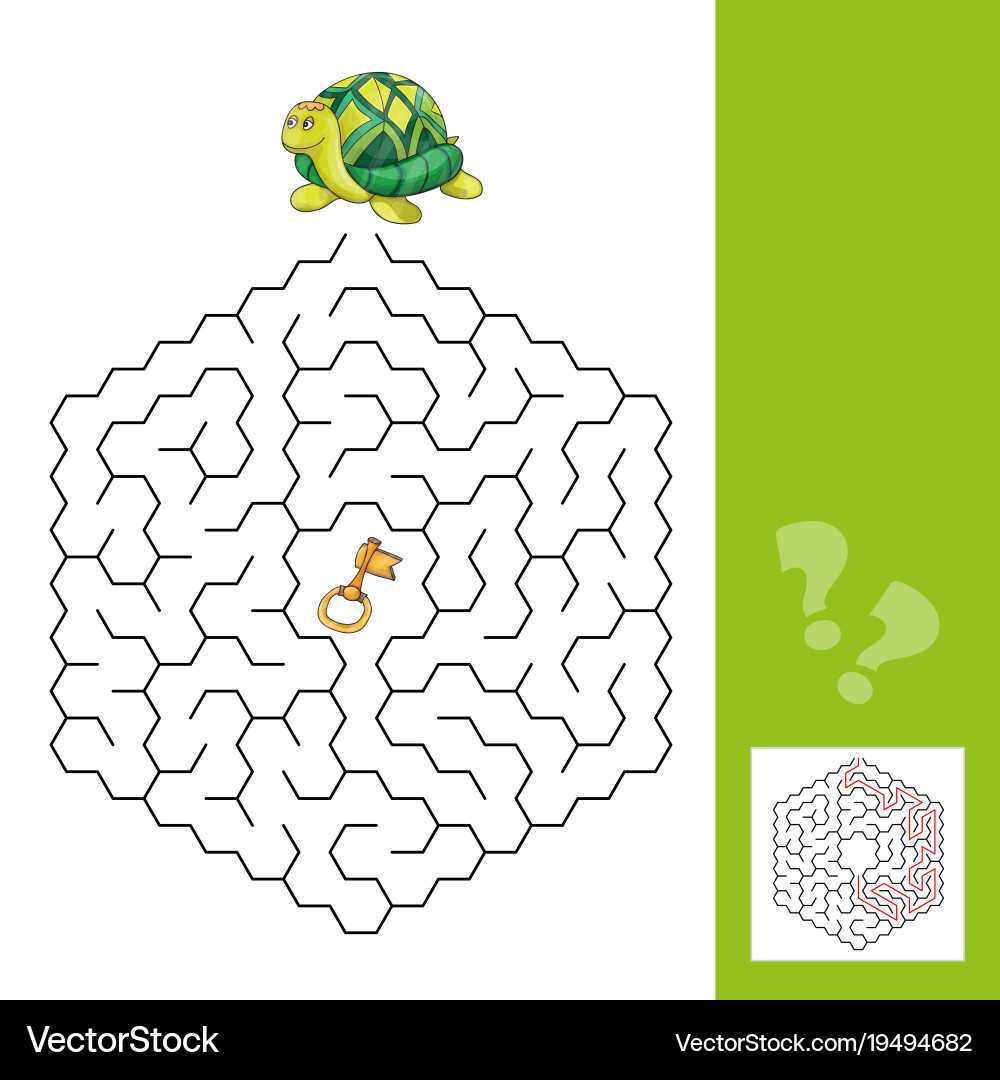 Turtle and gold key - labyrinth game vector image