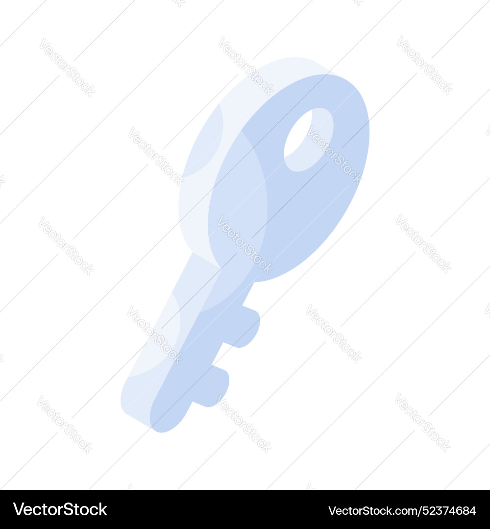An isometric of access key security icon Vector Image