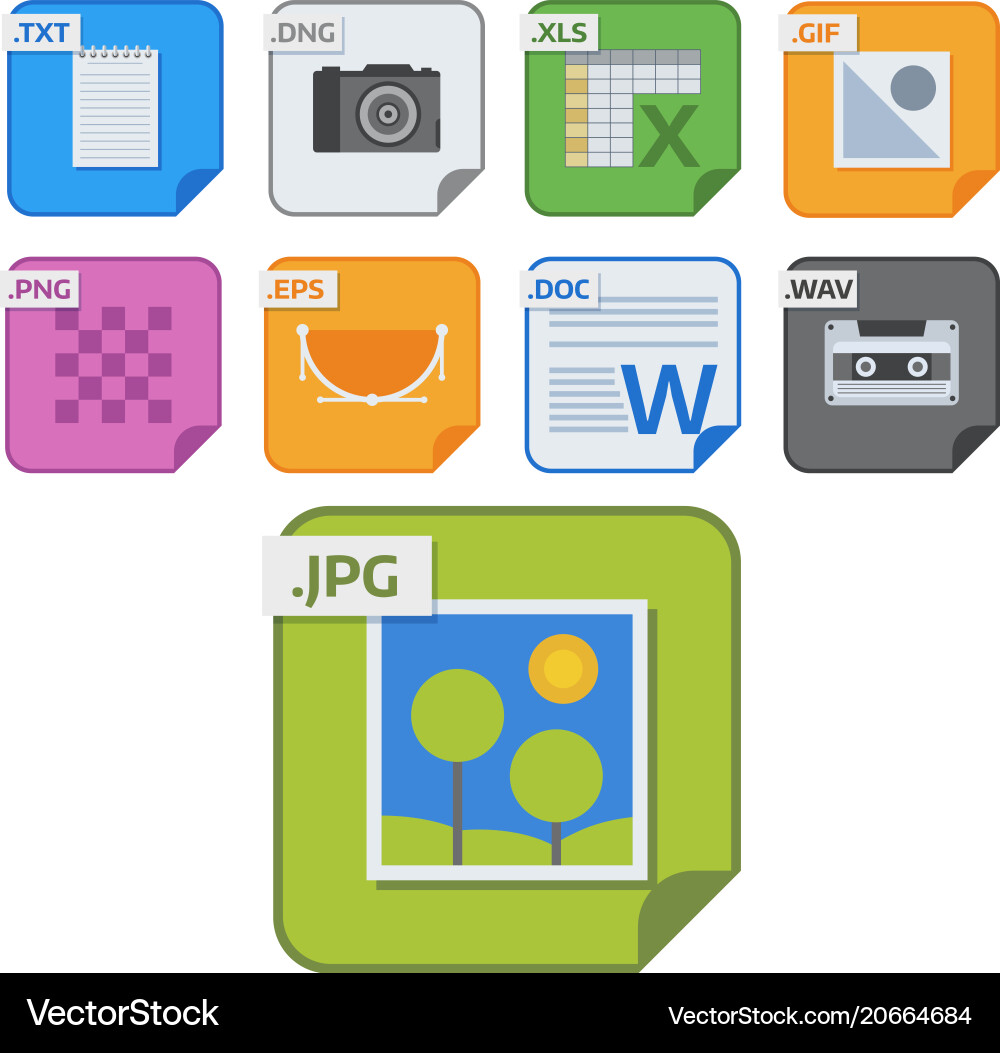 File types icons and formats labels vector image