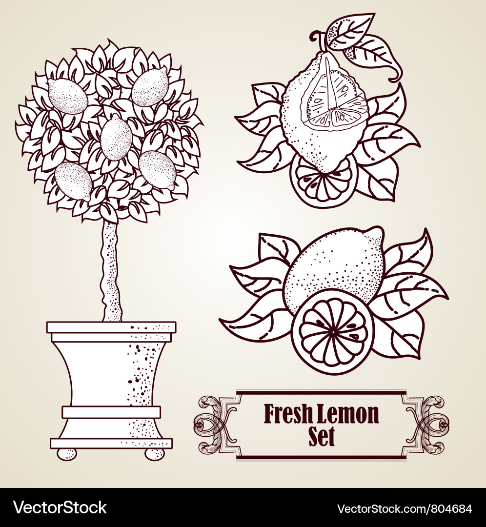 Lemon set in retro style vector image
