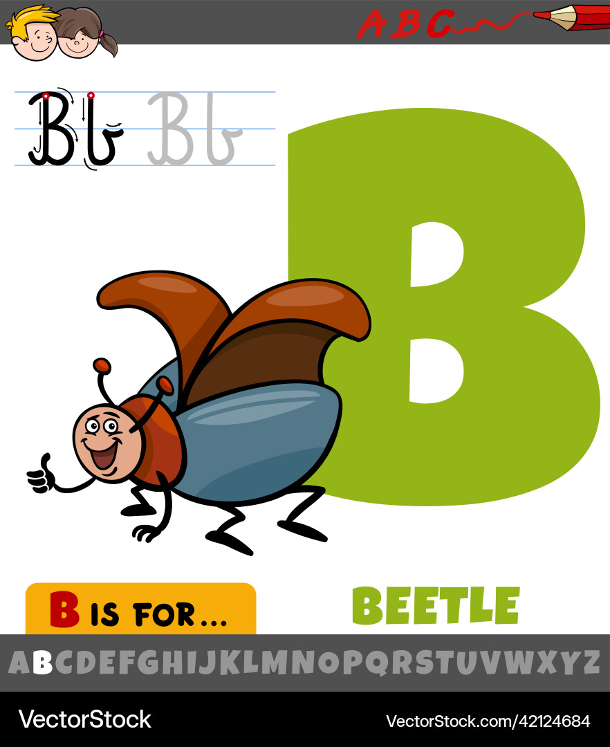 Letter b from alphabet with cartoon beetle insect Letter b from alphabet with cartoon beetle insect vector image