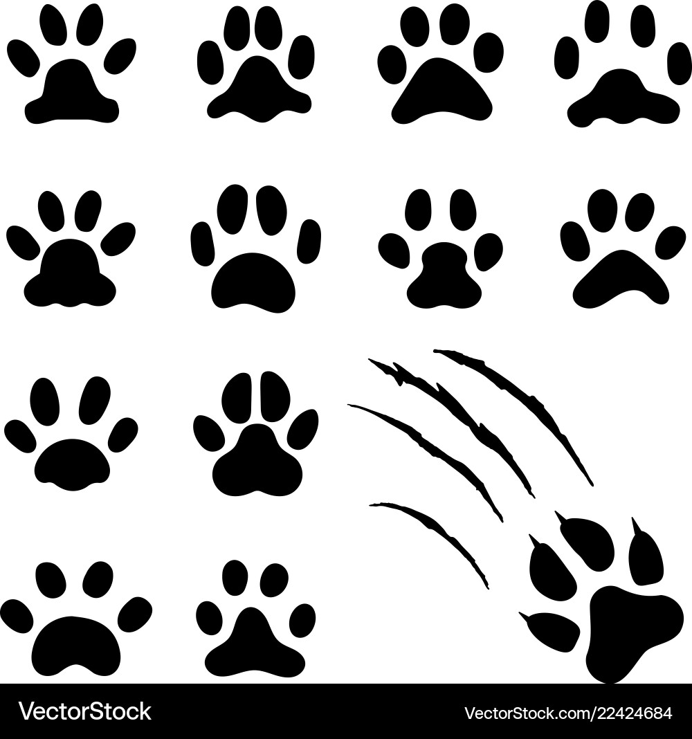 Pet Paw Prints - Kitten & Dog Footprints vector image