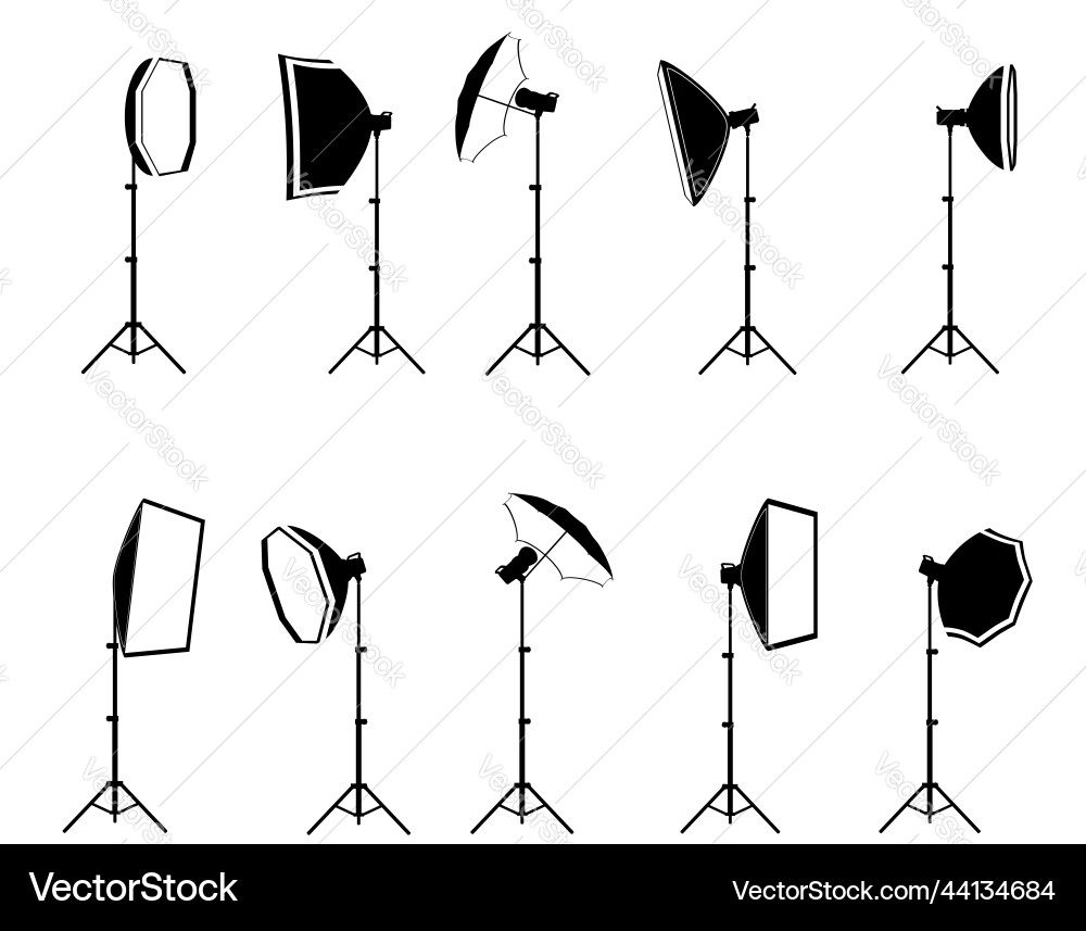 Studio Softbox with Flash on Tripod Vector Image