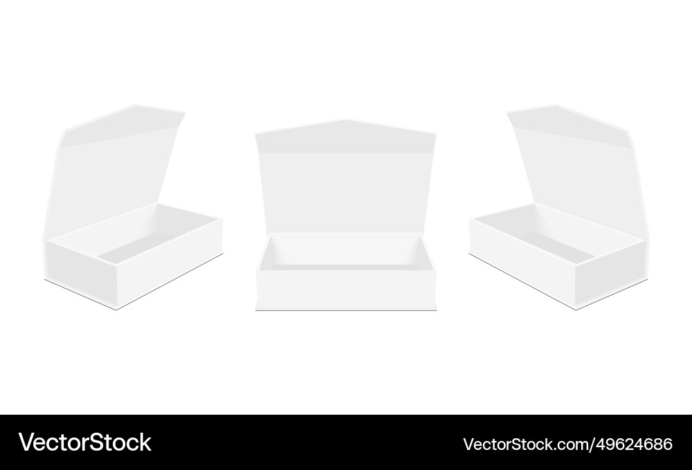 Rectangular packaging boxes with lid front side vector image