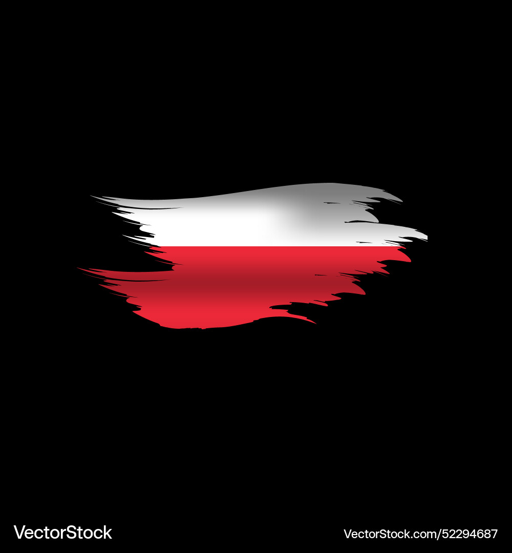 Brush art poland flag nation design Vector Image