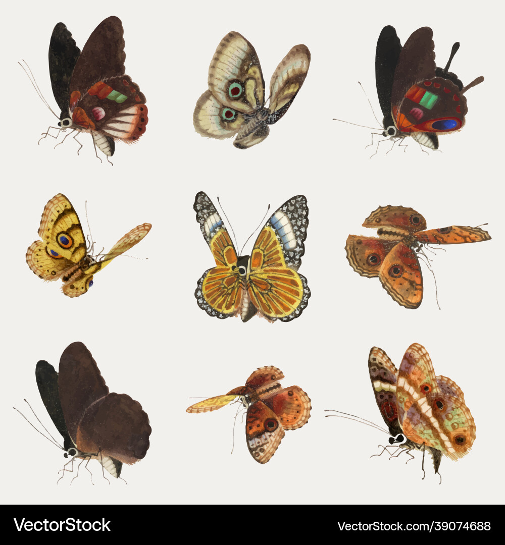 Pd56batch27-element-set-nap-01beps Vector Image