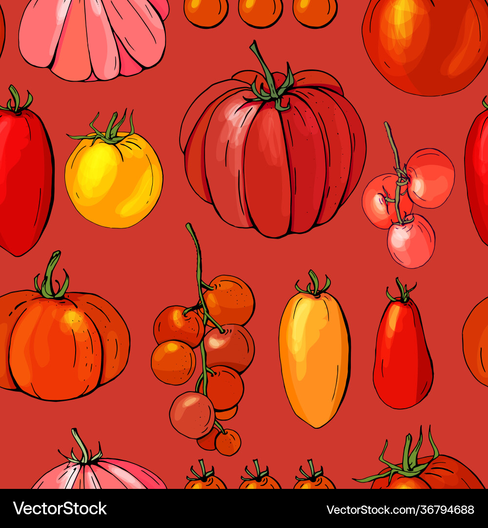 Seamless pattern with red tomato endless texture Seamless pattern with red tomato endless texture vector image