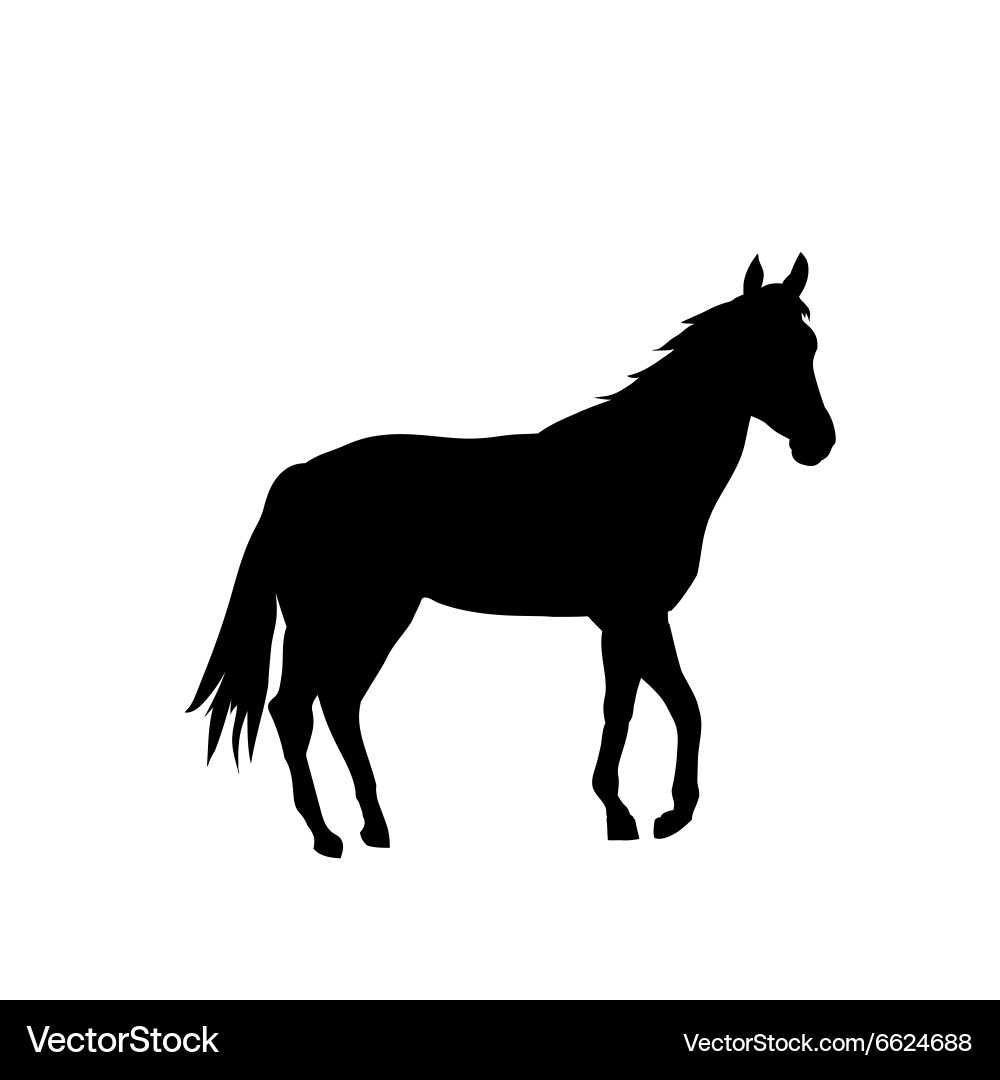 Silhouette cartoon horse – Royalty-Free Vector | VectorStock, image size:1000x1080