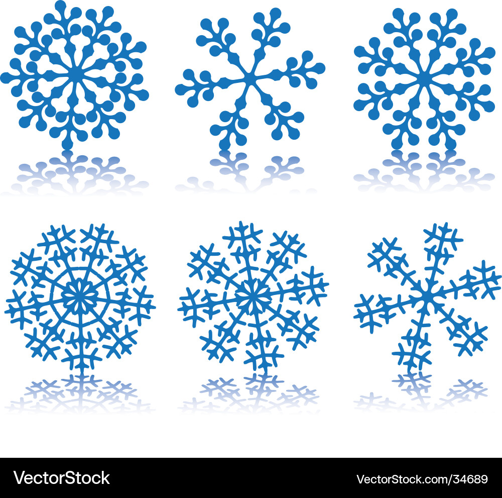 Snowflake vector image