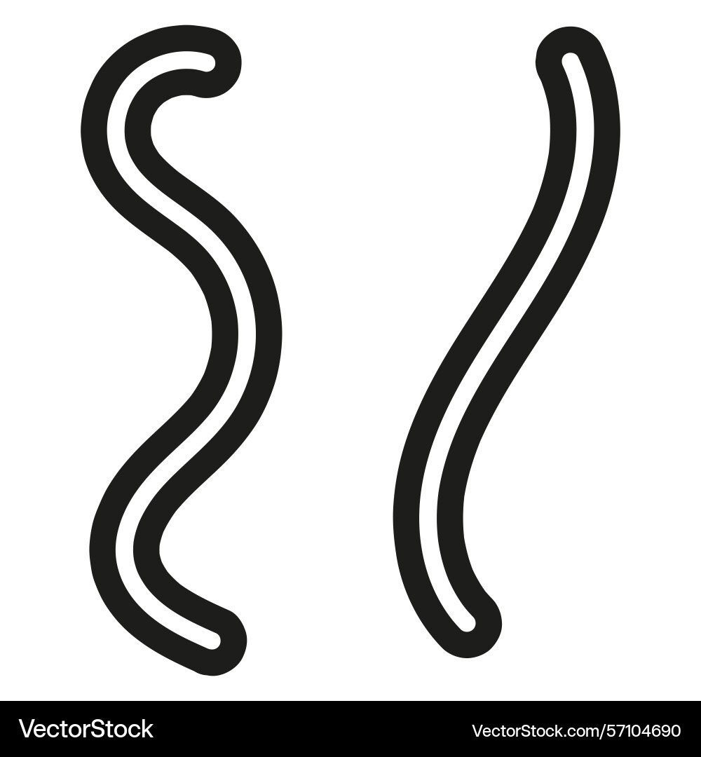 Wavy line curved stripe element contour form Wavy line curved stripe element contour form vector image