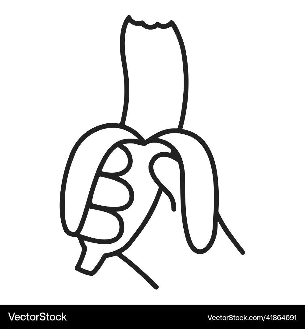 Banana food and beverage doodles vector image