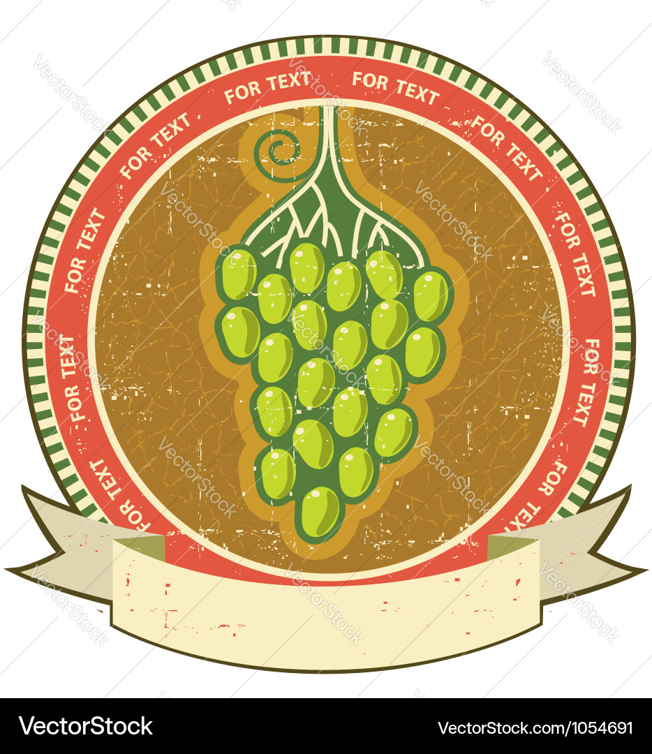 Grapes label with scroll for text on old grunge vector image