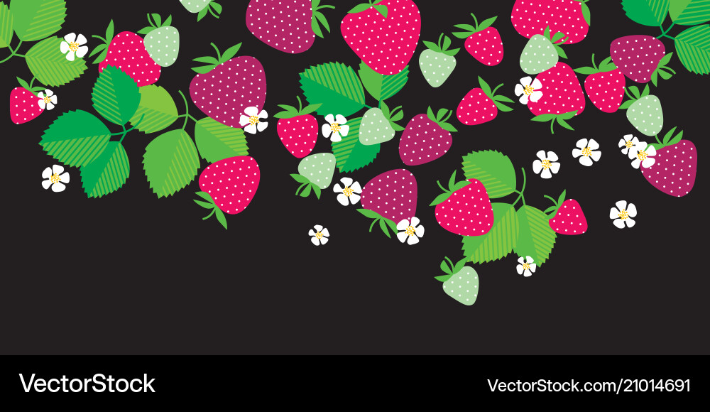 Red garden berries in header design element Red garden berries in header design element vector image