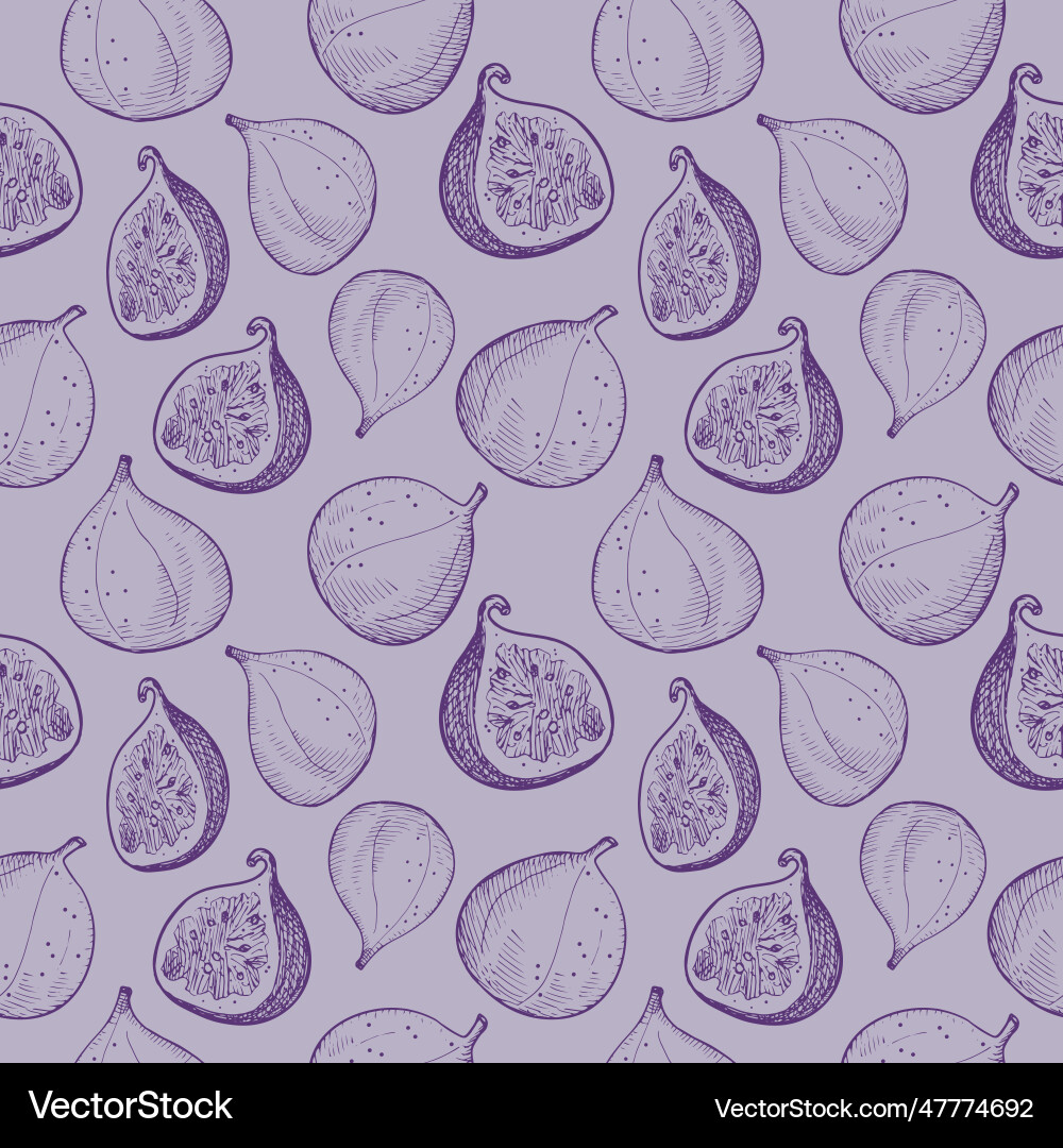Figs seamless pattern background Vector Image