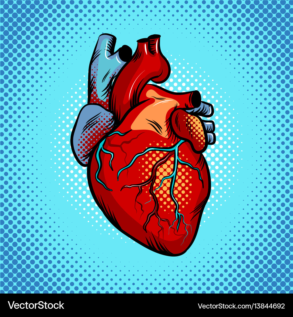 Retro Heart Pop Art (13844692) – Royalty-Free Vector | VectorStock, image size:1000x1080