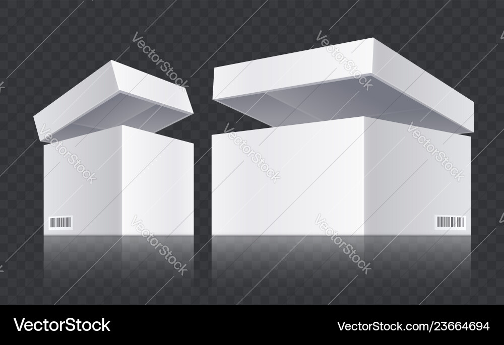 White open boxes vector image