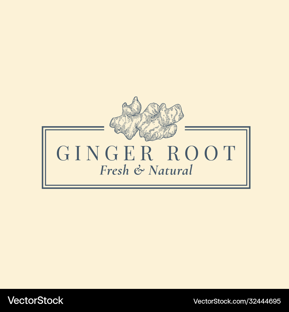 Ginger root abstract sign symbol or logo Ginger root abstract sign symbol or logo vector image