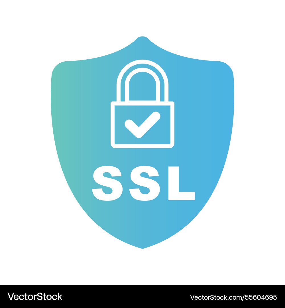 Ssl standard technology Ssl standard technology vector image