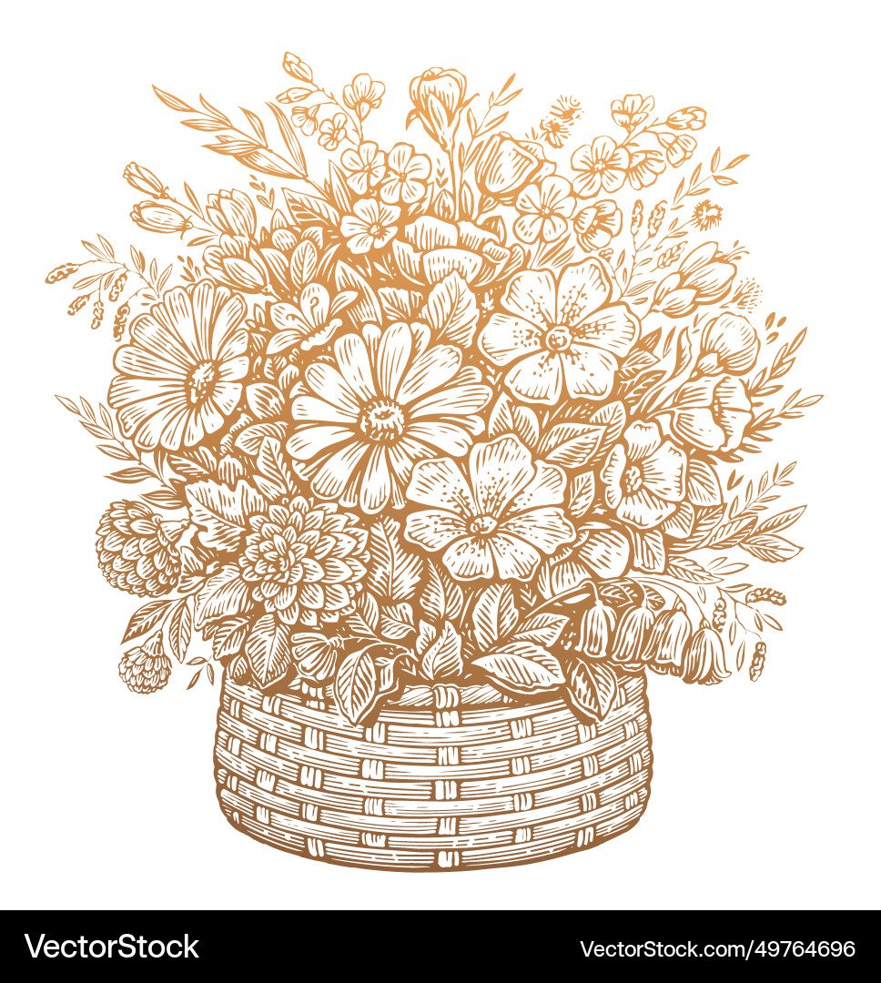 Beautiful bouquet of wildflowers in a basket vector image