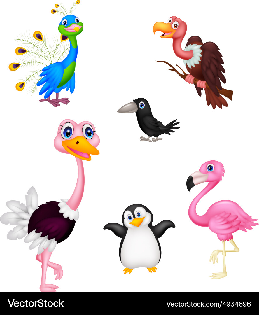 Cartoon Birds Collection Vector Image