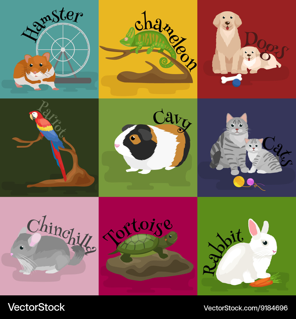 Home pets set cat dog parrot goldfish hamster vector image