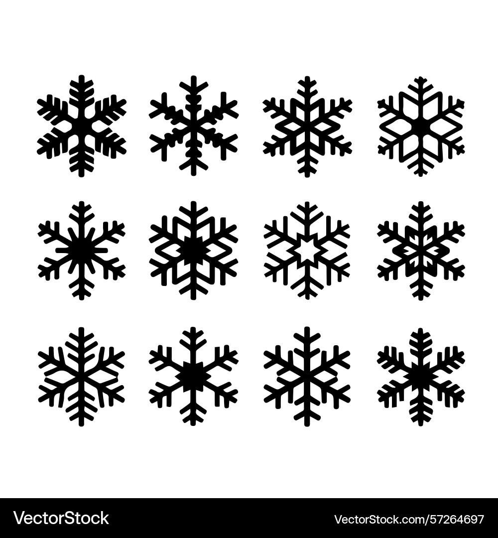 A set of intricate snowflake Vector Image