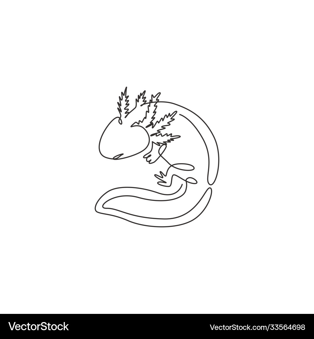 Continuous Line Axolotl vector image
