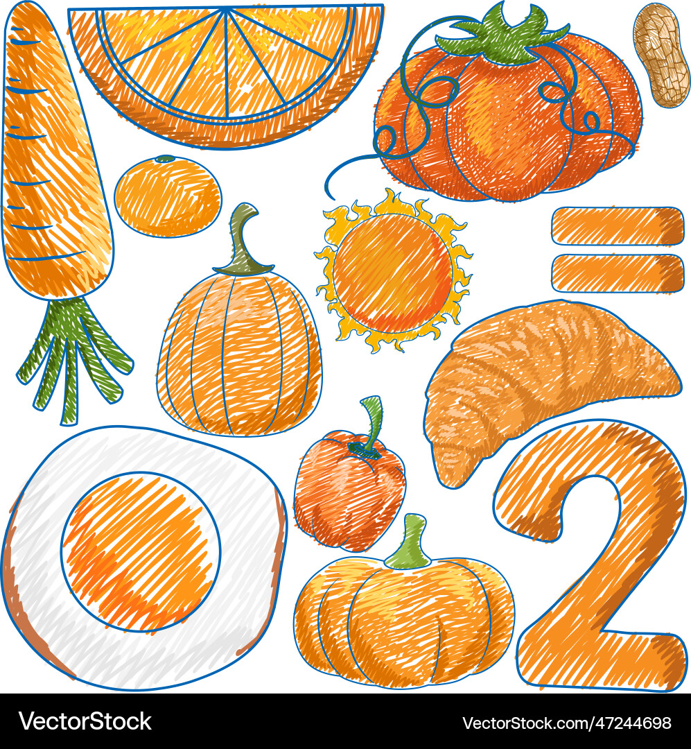 Orange objects in pencil colour sketch simple Vector Image