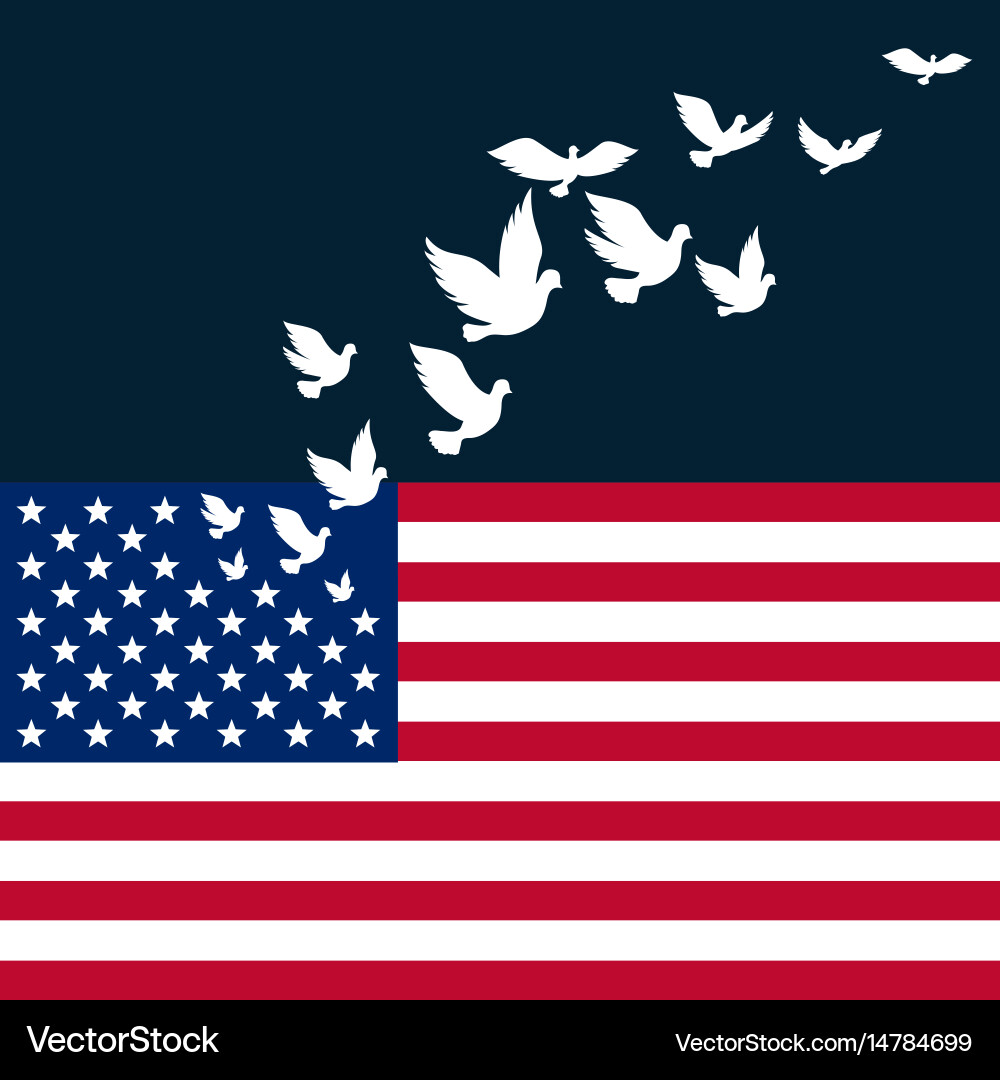 American Flag with Pigeon Vector Image