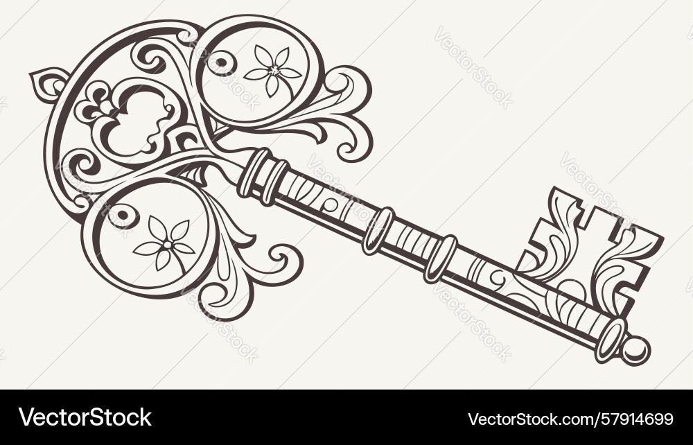 Intricate ornate skeleton key design generative Vector Image