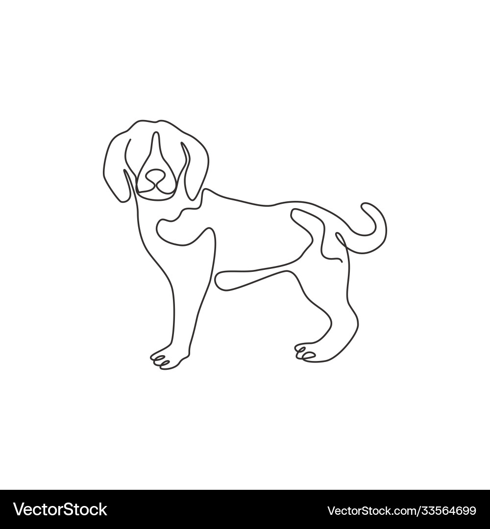 Single Line Beagle Drawing Vector Image