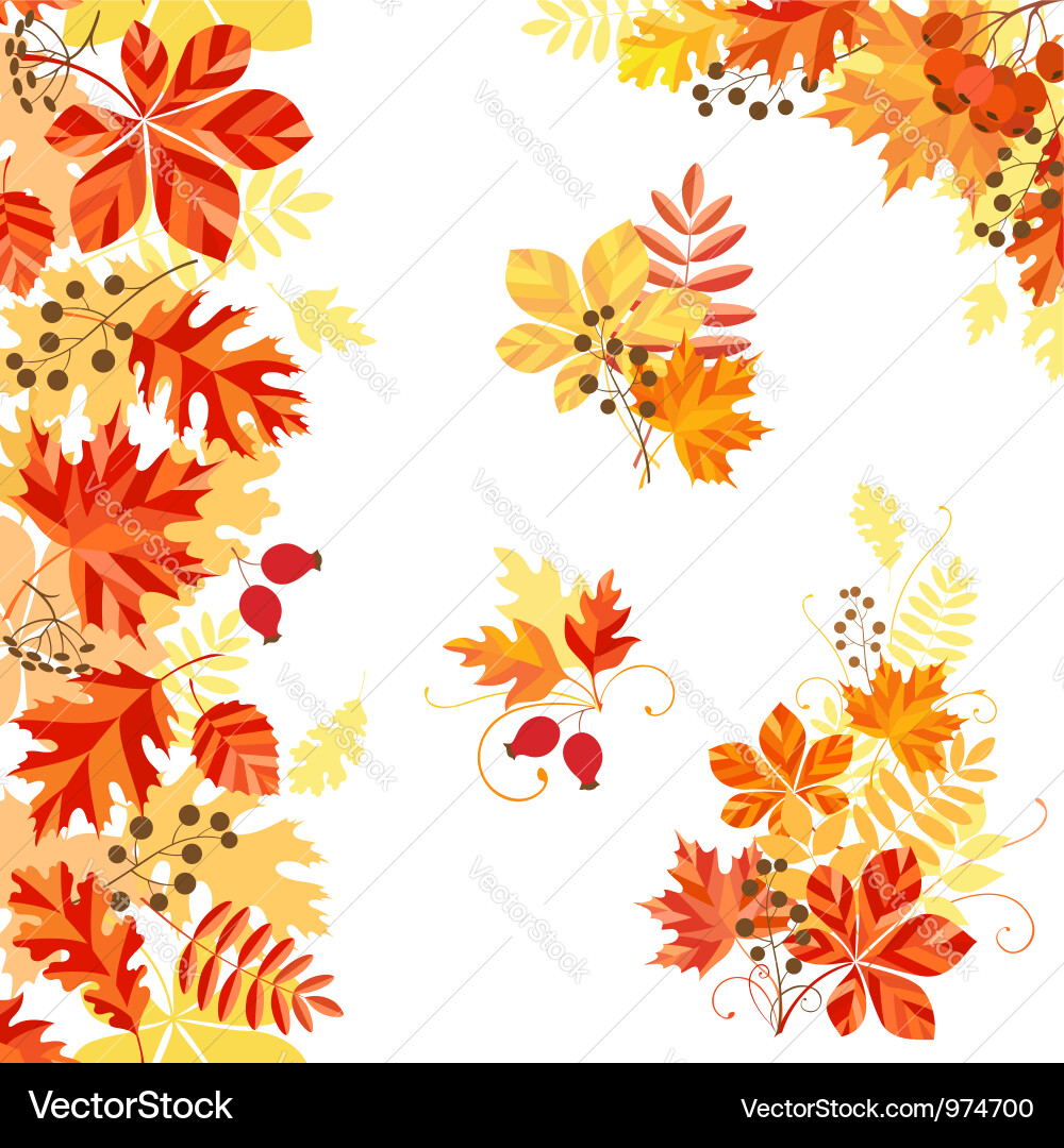 Autumn Leaf Pattern vector image