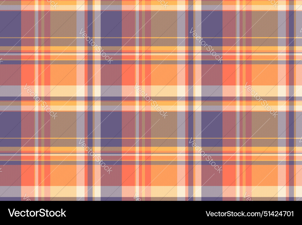 Background check pattern of textile texture Vector Image