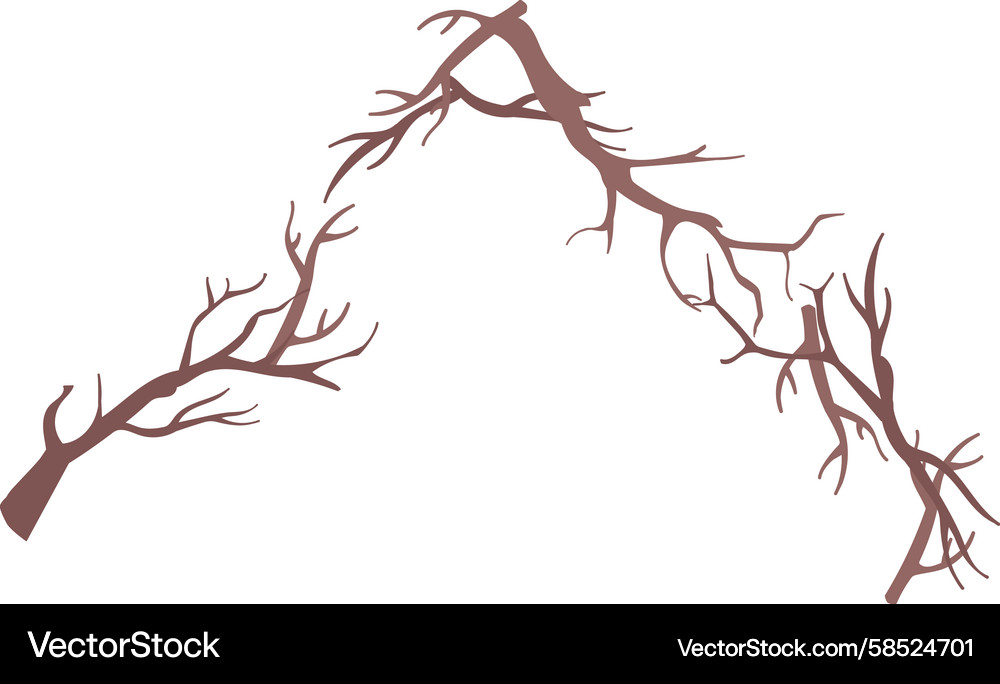 Branch Frame - Angular Twigs Vector Image