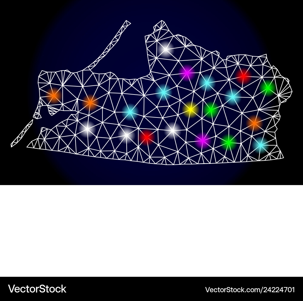 Polygonal network mesh map of kalinigrad region Polygonal network mesh map of kalinigrad region vector image