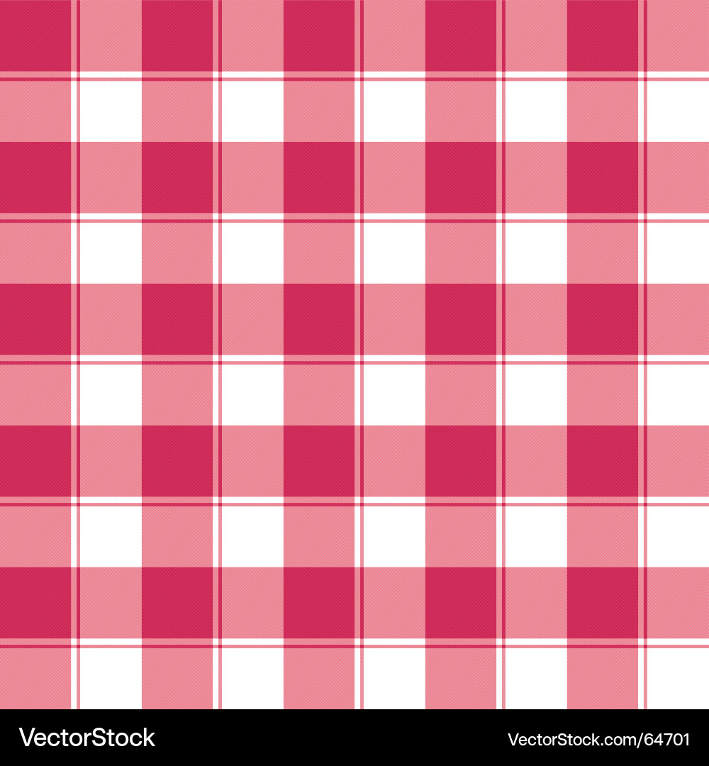 Red and White Checked Pattern vector image