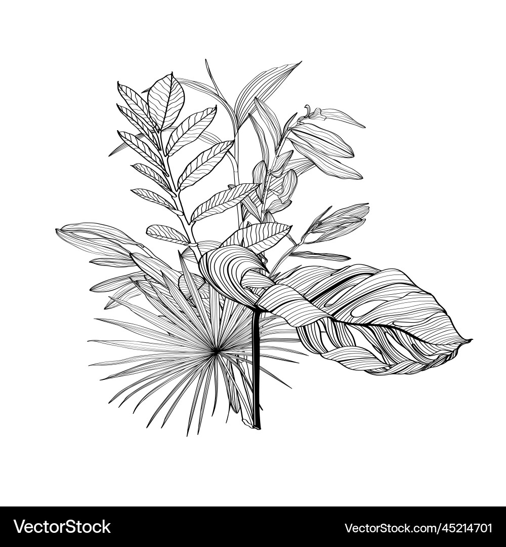 Set of three floral bouquets with black and white Set of three floral bouquets with black and white vector image
