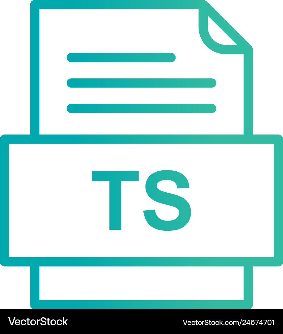 Ts file document icon Vector Image