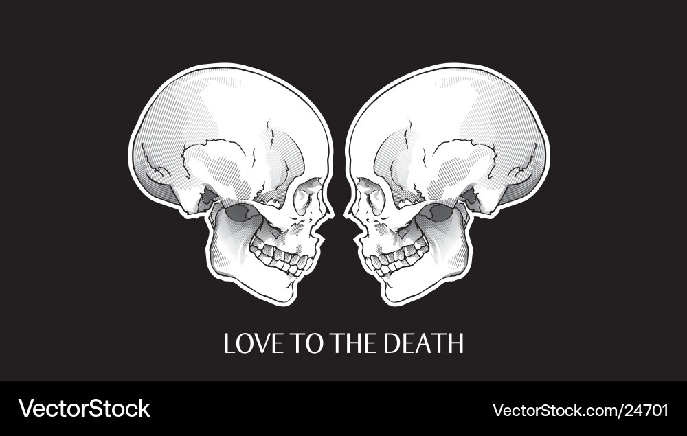Two Skeletal Skulls Vector Image
